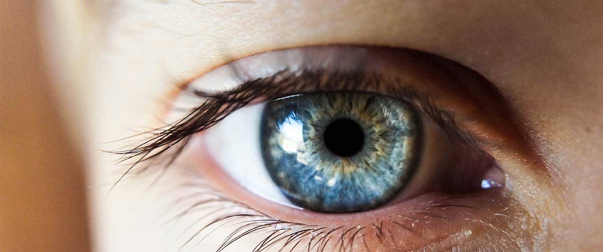 Close up of a human eye